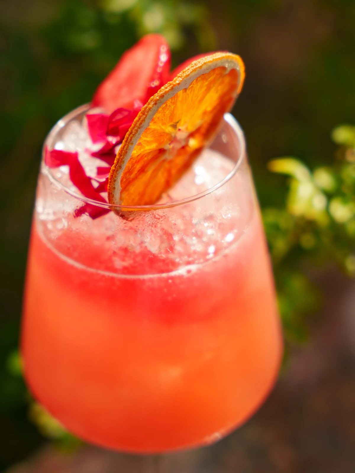 A coral cooler with dried orange and strawberry